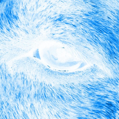 seeking prod. lockage