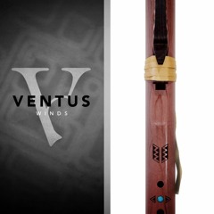 "Brave" by Ben Hicks (Ventus Native American Flutes)