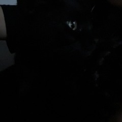 !????72@jeje73bdkwl)))uw16mk8M1KJW1783!bd!?