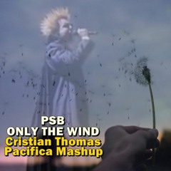 PET SHOP BOYS - ONLY THE WIND (CRISTIAN THOMAS PACIFICA MASHUP)