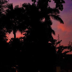 cover 2