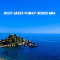 DEEP HOUSE FUNKY FLAVOURS MIX