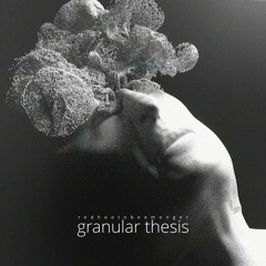 Onslow Gradens During Winter