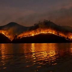 To See A World Burning