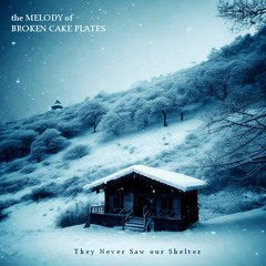 They Never Saw Our Shelter