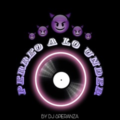 MIX 100% REGGAETON "PERREO A LO UNDER" | BY DJ SPERANZA