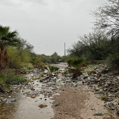 hope i dont get put on the spot this thanksgiving