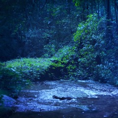 Sleep Soundly With Nighttime River Ambience (75 Minutes)