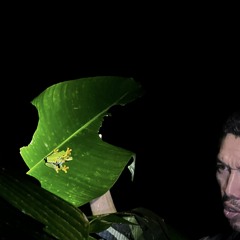 Libali