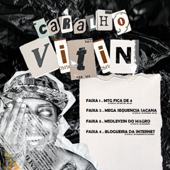 BLOGUEIRA DA INTERNET - DJ VITIN 2D , MC GORDINHO DO CATARINA