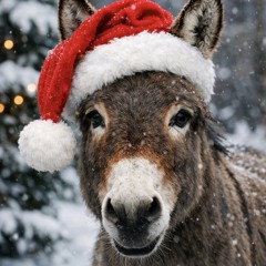 Dominck The DnB Donkey