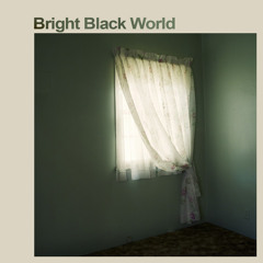Bright Black World