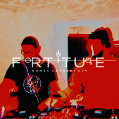 Sonic Odyssey 009 [Hubryis vs Foresyte]
