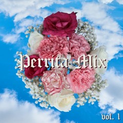 Perrita Mix: Vol 1