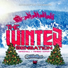 Dj Wildfiyah - The Winter Sensation (Dancehall/Trinibad Edition)