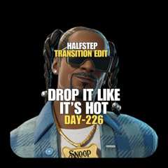 Drop It Like It's Hot MTHFKZ Bad Boy (HALFSTEP Edit)