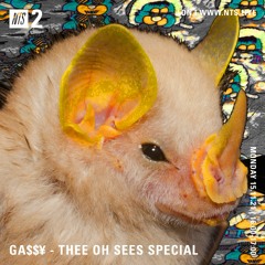 A Selection of the more chill, weirder and related music from Thee Oh Sees.