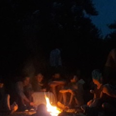 Day 1 - The Bull And The Boar