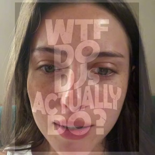 WTF Do DJs Actually Do? TikTok Meme DnB Remix