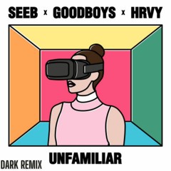 Seeb X Goodboys X HRVY - Unfamiliar(Dark Remix)