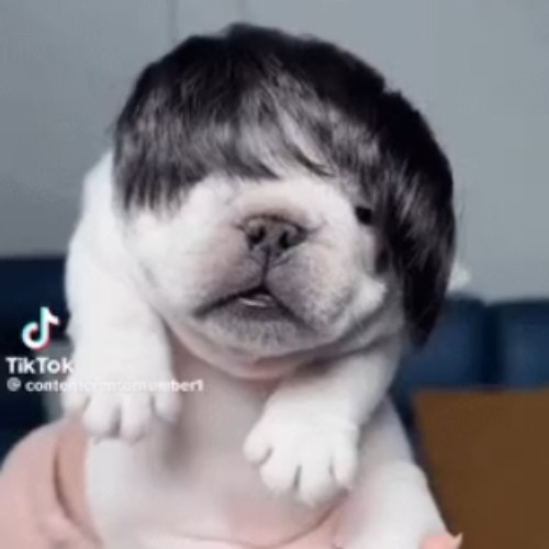 i actually cant stand math class