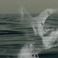 Smash and Grab (from Mouldy Rotters: The Undead Musical)