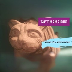 החתול של שרדינגר