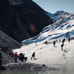 Review Special Price Glacier Point Wilderness Safari