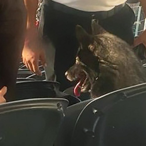 Stream episode Trending Topics September 5, 2023. Obey Your Master