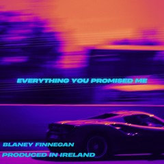 Everything You Promised Me