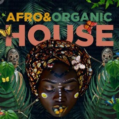 Portfolio ( Organic House \ Disco \ Afro )
