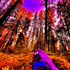 Birthday mixtape (Dub/DnB/Tekno/Psytrance/Hi-tech)  22.09.25