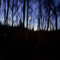 Midnight Sky Dreams_184625.mp3