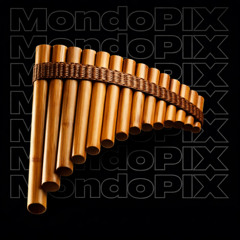 MondoPIX - Flute