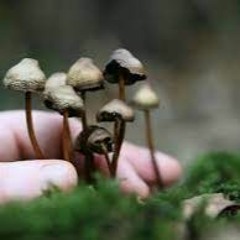 dynamite (aggressive sound original)