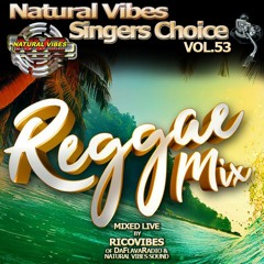 NATURAL VIBES SINGERS CHOICE REGGAE MIX  VOL. 53