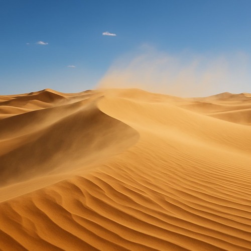 Psykolon - Desert Winds