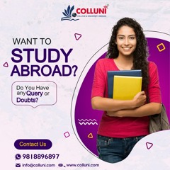 Top Study Abroad Consultants in Delhi NCR