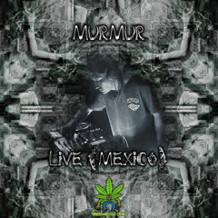 MurMur Artist 420
