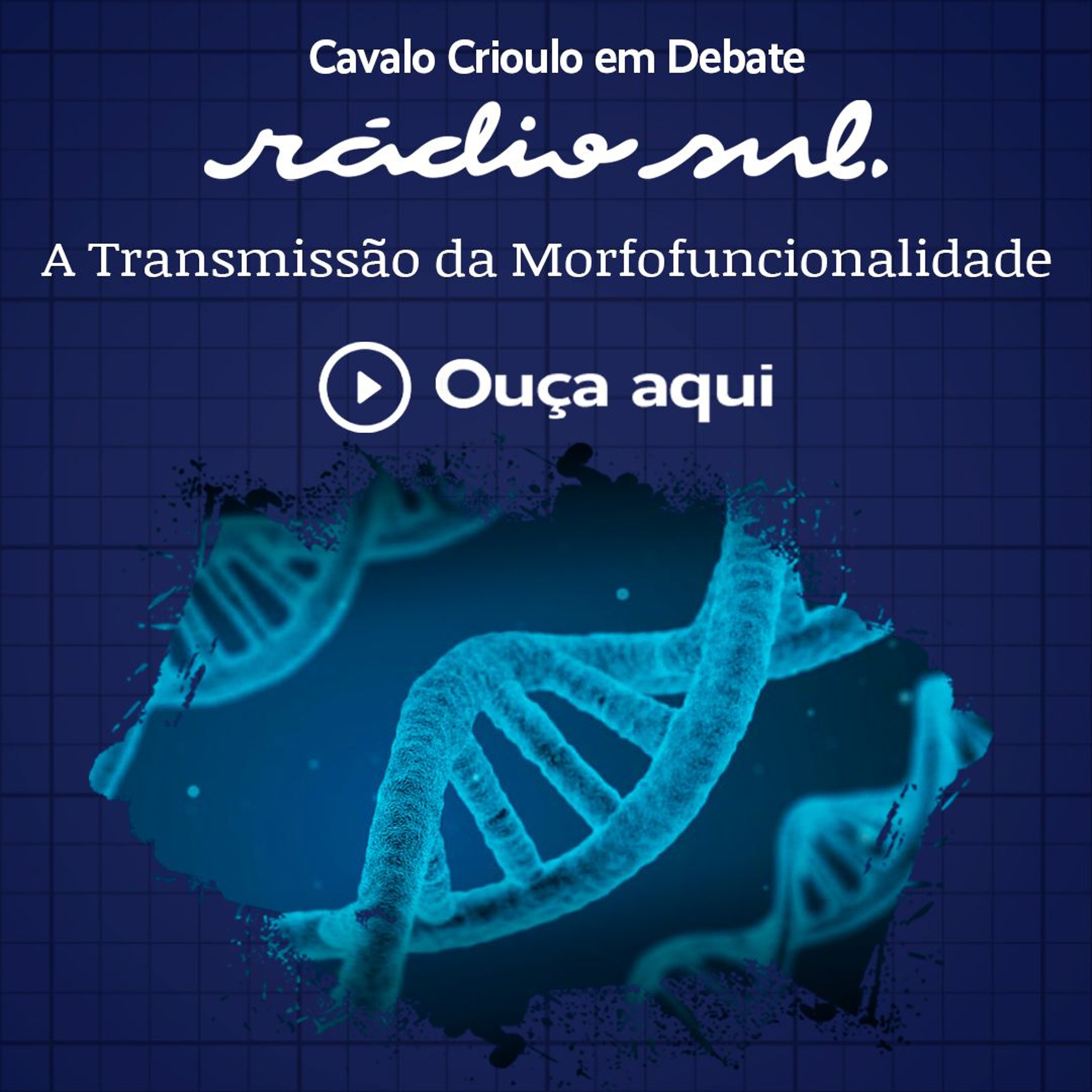 Radiosul.net