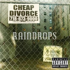 Raindrops (prod. Leon Hoekstra & Anthoughts)