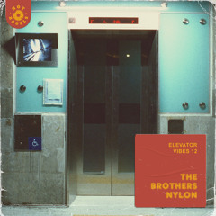 Elevator Vibes 12