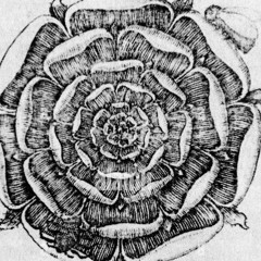 tout droit vers la mort