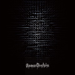 I am Never giving up! - SpanierMitAuto