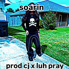 soarin