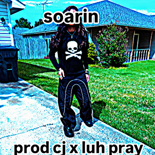 soarin