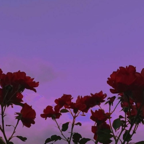 Pratsofficial - Aziyat Remix