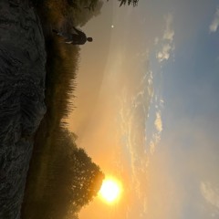 Sunrise on the Bison Ranch (Live DJ Set 2022) (said the sky, illenium, porter, dabin) 🎡