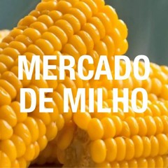 Preços do milho cedem no Brasil e mercado aguarda números do USDA