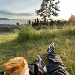 PICNIC BLANKETS ON ICE (Freestyle 2020)